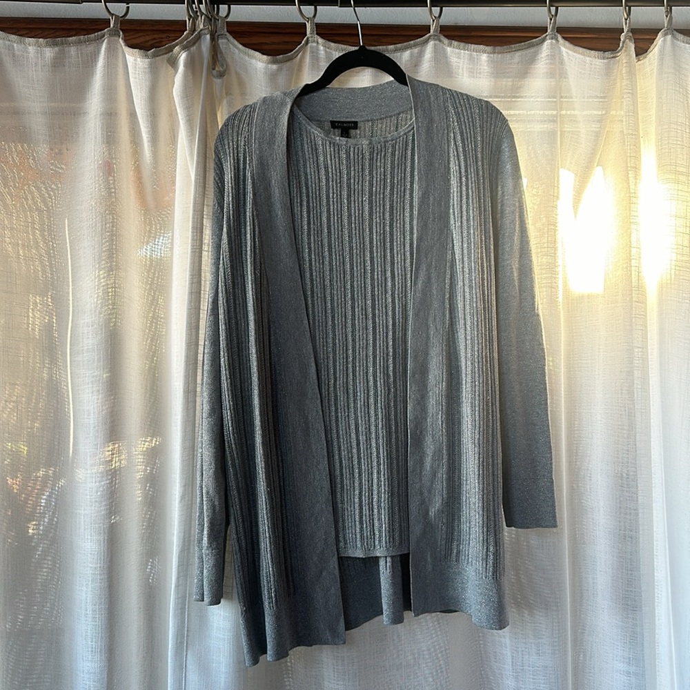 Talbots Two Piece XL Silver Top and Cardigan Set NWOT PRICE FIRM